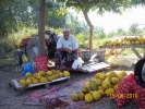 ÇÖMLEKÇİ KÖYÜ KAVUN PAZARI