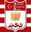 6.Logo Çalışması