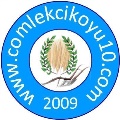 5.Logo Çalışması