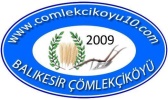 6.Logo Çalışması